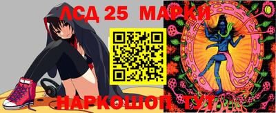 Альфа ПВП Будённовск