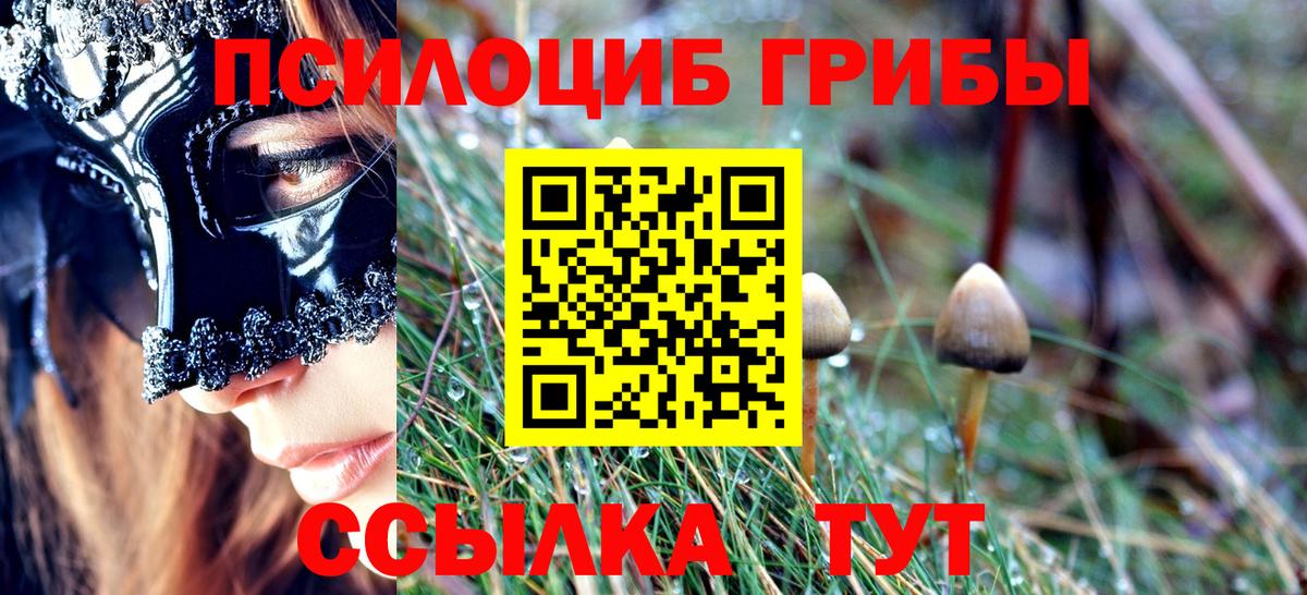 Псилоцибиновые грибы MAGIC MUSHROOMS Пенза
