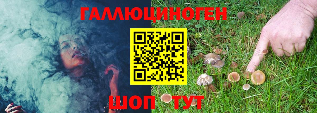 Галлюциногенные грибы Psilocybe  Вход с VPN  Пенза 