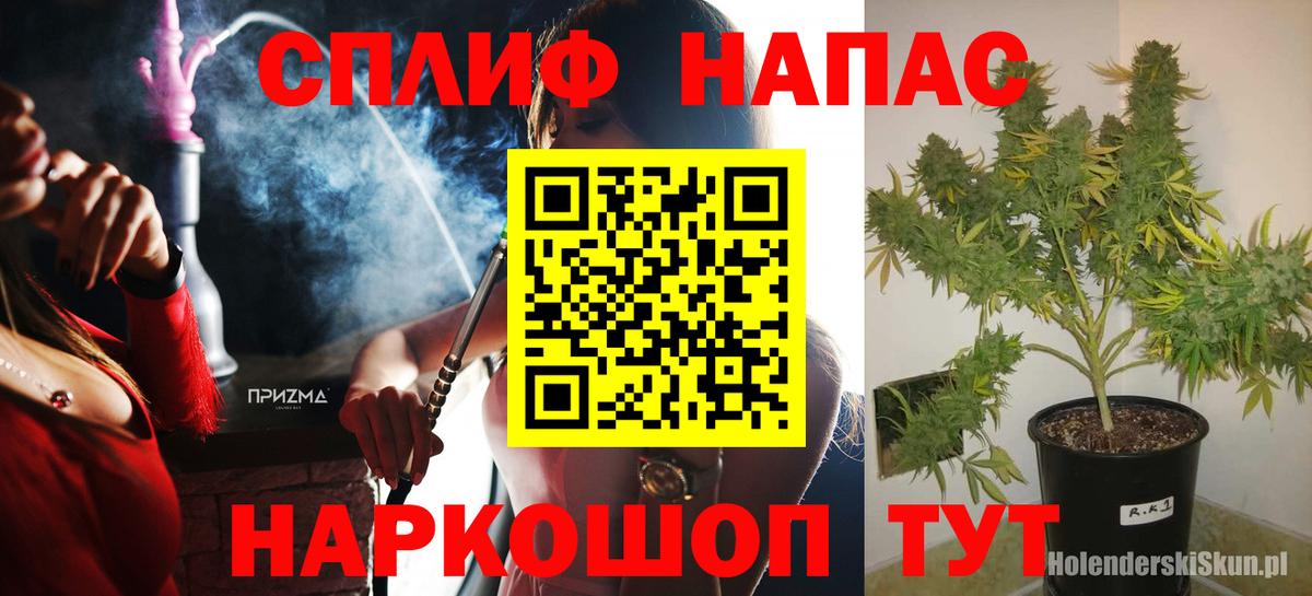 Канабис планчик Пенза